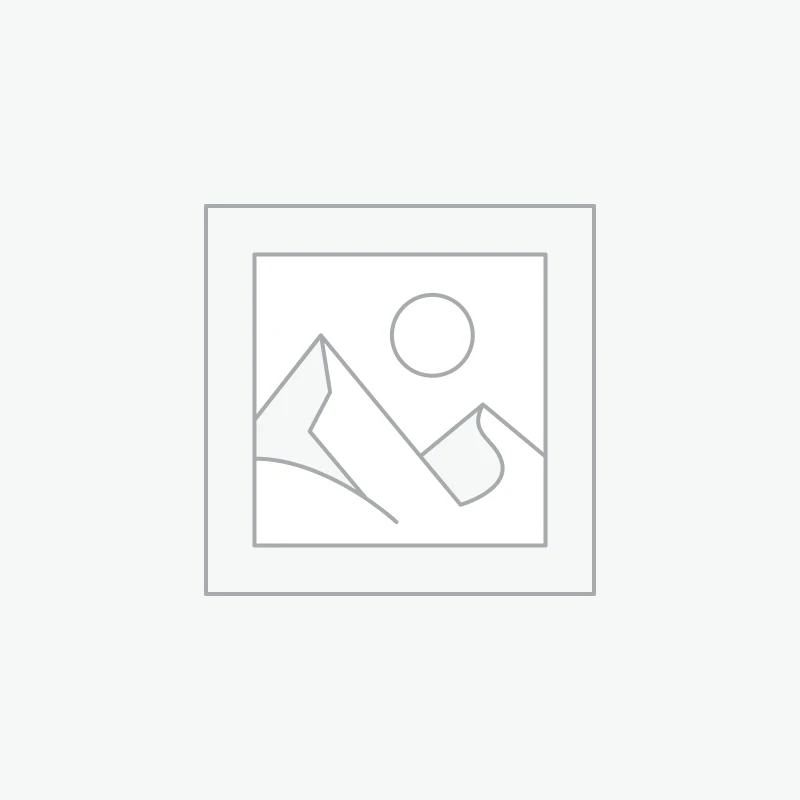 Buy Myco Pollen Flavor Mushroom Chocolate Bar – Canada